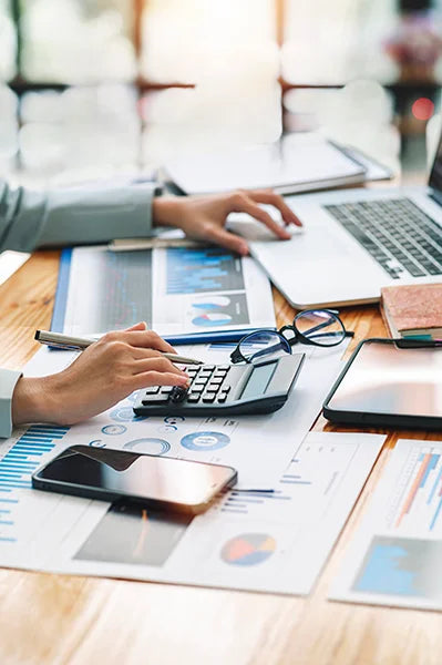 Business Finance Audit